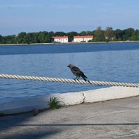 Солнечный город :: redfox 