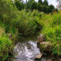 Речка :: Сергей Винтовкин