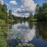 пос. Вырица, р. Оредеж :: Юрий Бутусов