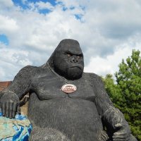 ЗАХВАТЧИК :: Сергей Янович Микк