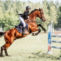 Крнкур :: SanSan 