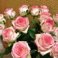 Мой День! :: Надежда Мой День! :: Надежда