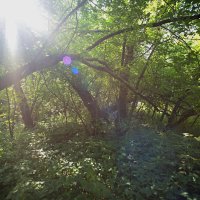 Свет... :: Андрей Катков