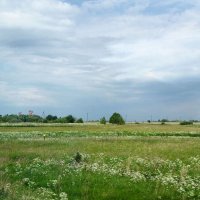 Возле деревни Буреги :: Александр Ильчевский 