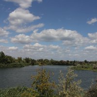 **** :: Виктор 