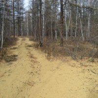 Осенняя дорога :: Anna Ivanova