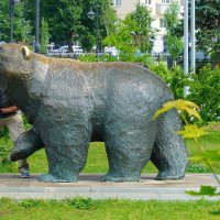 Дай лапу! :: Сергей Беляев