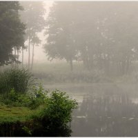 на озере туман... :: Aleksandr Gal