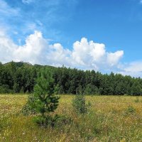 Всё кругом светло :: Hope 