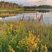 Освещенные солнцем :: Мария - Maria