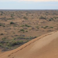 "Большой брат" :: Хватова Марина 