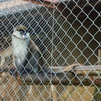 БРАТ_3 :: Сергей Янович Микк