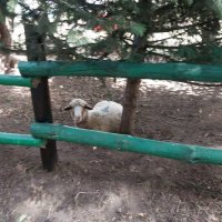 Talgar. :: Murat Bukaev 