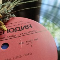 Мелодия :: Любимова Ольга 