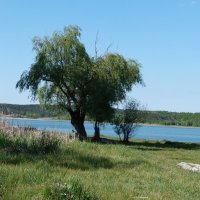 Природа  Крыма :: Валентин Семчишин