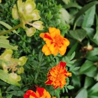 ,,, :: Сергей Тимоновский