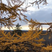 Вечер :: Anna Ivanova