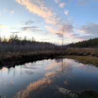 Озеро в лесу :: Anna Ivanova Озеро в лесу :: Anna Ivanova