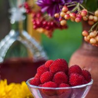 Тибетская малина. :: Анатолий Нецепляев Тибетская малина. :: Анатолий Нецепляев