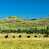 Окрестности :: Игорь Сикорский Окрестности :: Игорь Сикорский