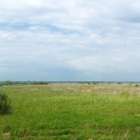 Берег озера Ильмень в районе деревни Малая Витонь :: Александр Ильчевский 