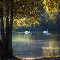*** :: Владимир Безбородов