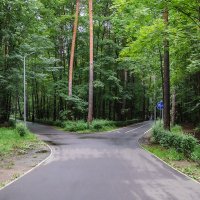 Время выбирать. :: Серый 