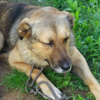 Старость... :: kudrni Кудрявцева