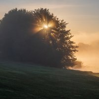 Первые лучики солнца. :: Виктор Евстратов Первые лучики солнца. :: Виктор Евстратов