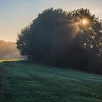 Августовский рассвет на берегу реки Волги. :: Виктор Евстратов Августовский рассвет на берегу реки Волги. :: Виктор Евстратов