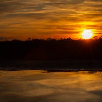 Вечерний закат солнца :: Николай Дергачев