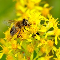 середина августа 3 :: Александр Прокудин