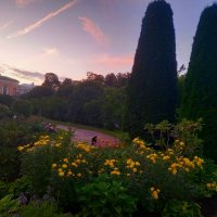 Закат :: Сапсан Закат :: Сапсан