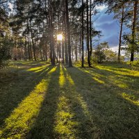 Берег БАЛТИКИ :: Дмитрий Иванов