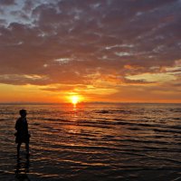 у моря :: марта Камушкина