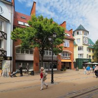 Из поездки в Зеленоградск (Калинградская область) :: Евгений Седов