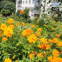 ,,, :: Сергей Тимоновский