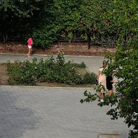 Подружки :: Юрий Гайворонскiий