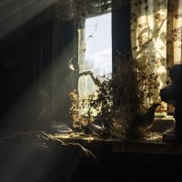 В старом доме у окна :: sorovey Sol