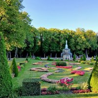 Нижний парк. :: Лия ☼