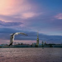 Вечерний Питер :: Svetlana Galvez