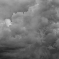 *** :: Шу Юншен