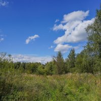 Палитра августа... :: Владимир Жданов Палитра августа... :: Владимир Жданов