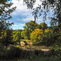 ***** :: юрий поляков ***** :: юрий поляков