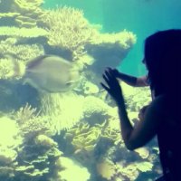 112 (202) :: СТРЕН 