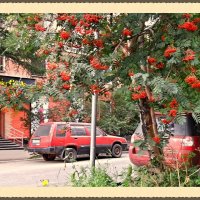 Архивное №2 :: emaslenova 