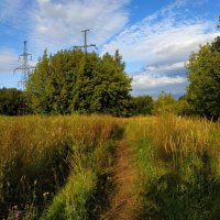 Вот, моя деревня :-) :: Андрей Лукьянов Вот, моя деревня :-) :: Андрей Лукьянов