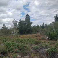 Горы Керей :: Андрей Хлопонин