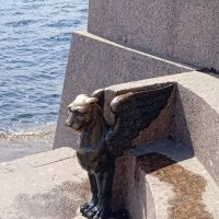 Скульптура Грифона в Петербурге. :: Светлана Калмыкова Калмыкова