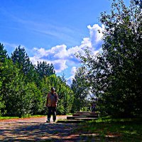 Август...До конца месяца южная жара! :: Владимир 